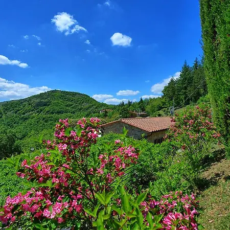 Portole Due By Posarellivillas Villa *